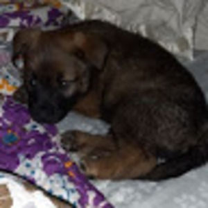 Meet your Posher, Tracy